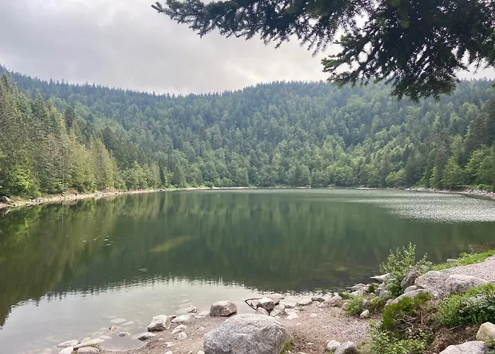 Le Chellois * La Bresse